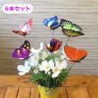 画像3: Butterfly Pick