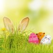 画像11: Easter Eggs【全4種】