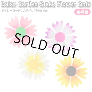 画像: Daisy Garden Stake Flower Only【全4種】