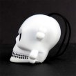 画像2: Skull Crossbones Antenna Topper