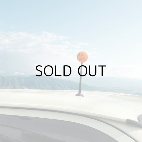 画像5: Car Magnet Buddy