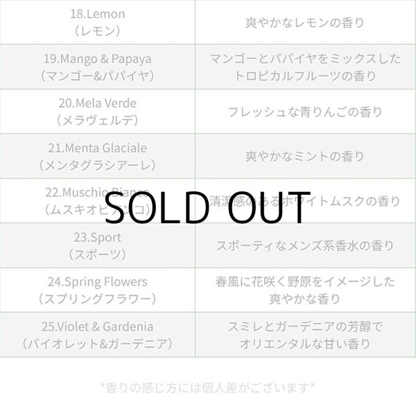 画像6: ARBRE MAGIQUE Air Freshener ( Coffee Aroma )【メール便OK】