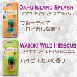 画像2: Bahama＆Co. Pineapple Oil Fresheners【全2種】