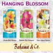 画像1: Bahama＆Co. Hanging Blossom Fresheners【全3種】