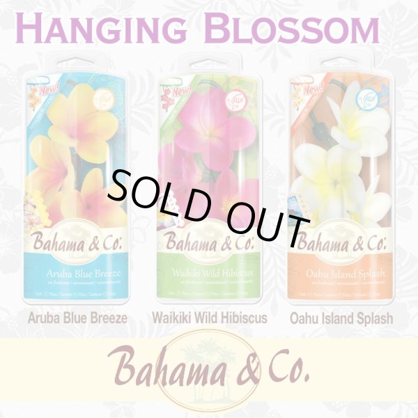 画像1: Bahama＆Co. Hanging Blossom Fresheners【全3種】
