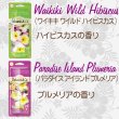 画像3: Bahama＆Co. Lei Necklace Fresheners【全4種】