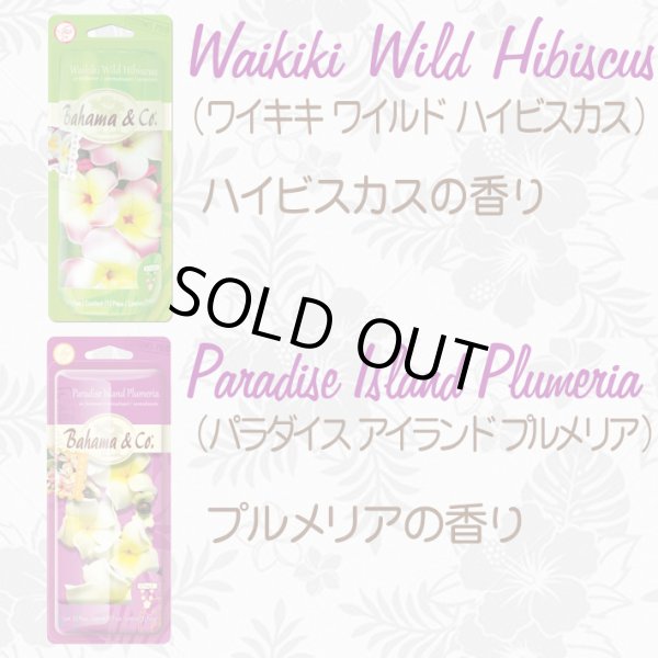 画像3: Bahama＆Co. Lei Necklace Fresheners【全4種】