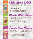 画像2: Bahama＆Co. Flip Flop Fresheners