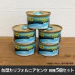 画像2: CALIFORNIA SCENTS Spillproof Organic Air Freshener 5-Pack Set
