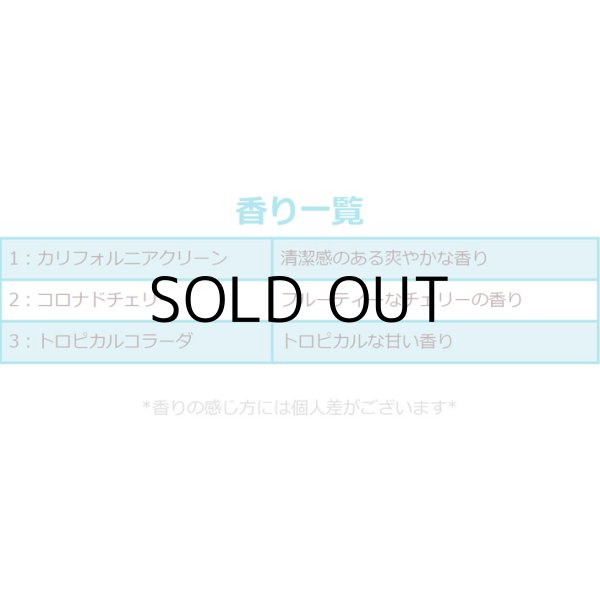 画像7: CALIFORNIA SCENTS Lei Air Freshener ( CORONADO CHERRY )