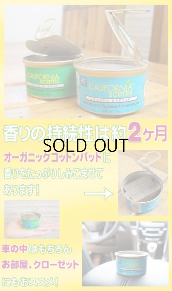 画像6: 【CALIFORNIA SCENTS Spillproof Organic Air Freshener】ディスプレイBOX付き72個セット！カリフォルニアセンツ
