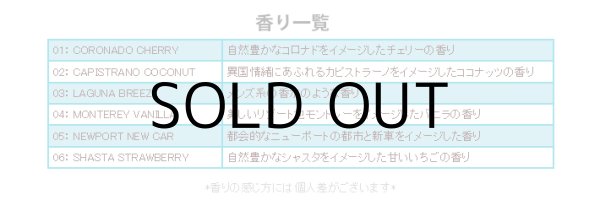 画像5: CALIFORNIA SCENTS Palms Hang Out Air Fresheners【全6種】