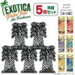 画像1: Exotica Palm Tree Air Fresheners  5-Pack Set【メール便送料無料】