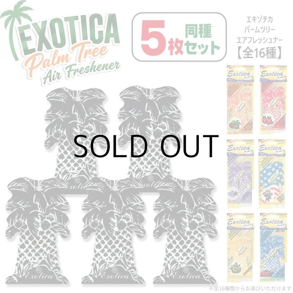 画像1: Exotica Palm Tree Air Fresheners  5-Pack Set【メール便送料無料】