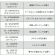 画像9: Exotica Palm Tree Air Fresheners  5-Pack Set【メール便送料無料】