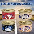 画像7: EXOTICA Icy Gel Air Freshener【全4種】