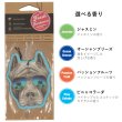画像2: Fresh Fresheners （ Pit Bull Sunnies）【全4種】【メール便OK】