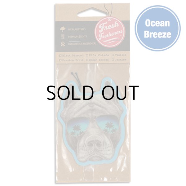 画像1: Fresh Fresheners Pit Bull Sunnies ( Ocean Breeze )【メール便OK】