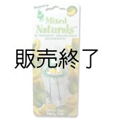 画像: 【販売終了】Little Trees 3D Air Freshener（ Lemon Lime ）