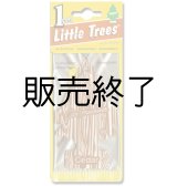 画像: 【販売終了】Little Trees 1-Pack（ Cedar ）