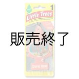 画像: 【販売終了】Little Trees 1-Pack（ Coral Reef ）