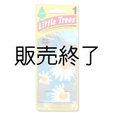 画像: 【販売終了】Little Trees 1-Pack（ Daisy Fields ）