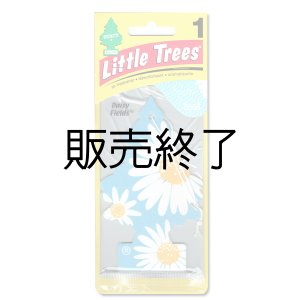 画像: 【販売終了】Little Trees 1-Pack（ Daisy Fields ）