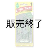 画像: 【販売終了】Little Trees 1-Pack（ Eucalyptus ）