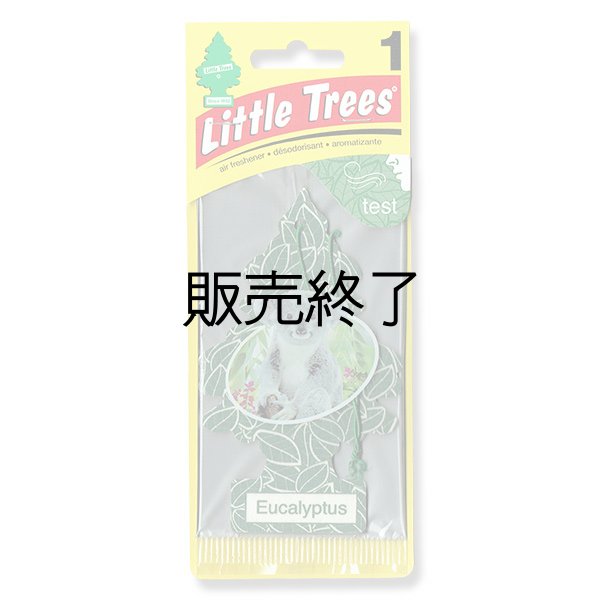 画像1: 【販売終了】Little Trees 1-Pack（ Eucalyptus ）