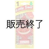 画像: 【販売終了】Little Trees 1-Pack（ Heirloom Tomato ）