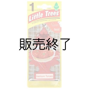 画像: 【販売終了】Little Trees 1-Pack（ Heirloom Tomato ）