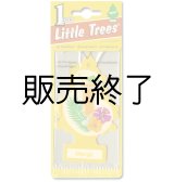 画像: 【販売終了】Little Trees 1-Pack（ Mango ）