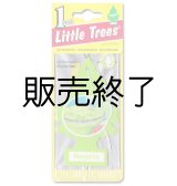 画像: 【販売終了】Little Trees 1-Pack（ Margarita ）