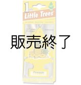 画像: 【販売終了】Little Trees 1-Pack（ Pineapple ）