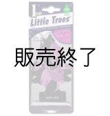 画像: 【販売終了】Little Trees 1-Pack（ Sentiment RELAX ）