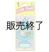 画像: 【販売終了】Little Trees 1-Pack（ Rainforest Mist ）