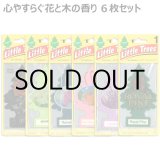 画像: Little Trees  6-Pack Flower & Tree Set【メール便送料無料】