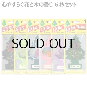 画像: Little Trees 6-Pack Flower & Tree Set【メール便送料無料】