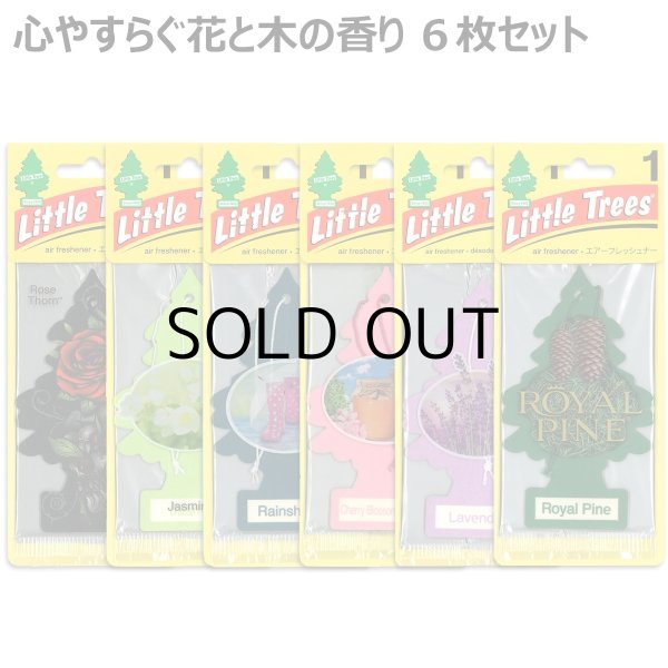 画像1: Little Trees  6-Pack Flower & Tree Set【メール便送料無料】