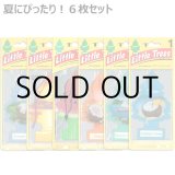画像: Little Trees  6-Pack Summer Set【メール便OK】