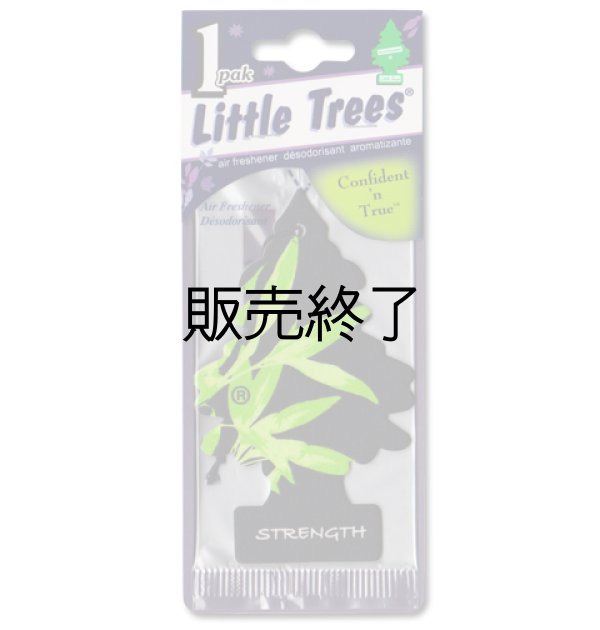 画像1: 【販売終了】Little Trees 1-Pack（ Sentiment STRENGTH ）