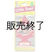 画像: 【販売終了】Little Trees 1-Pack（ Spice ）