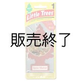 画像: 【販売終了】Little Trees 1-Pack（ Spice Market ）