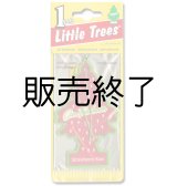 画像: 【販売終了】Little Trees 1-Pack（ Strawberry Kiwi ）