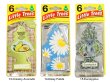画像6: Little Trees　6pac【全45種】【メール便OK】