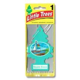 画像: Little Trees ( Bayside Breeze ) 1P 【メール便OK】