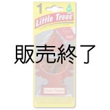 画像: 【販売終了】Little Trees 1-Pack（ Copper Canyon ）