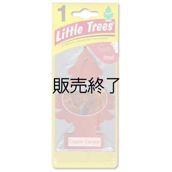 画像1: 【販売終了】Little Trees 1-Pack（ Copper Canyon ）
