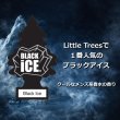 画像2: Little Trees BLACK ICE SET