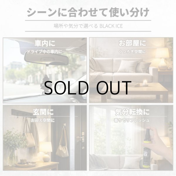 画像5: Little Trees BLACK ICE SET【メール便送料無料】